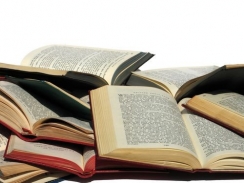 Legislativa: co nás nemine a čeká v roce 2009 (1)