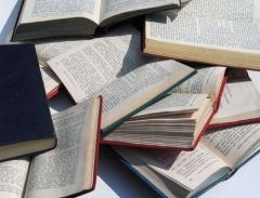 Legislativa: co nás nemine a čeká v roce 2009 (2)
