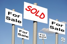 End of ineffective real estate agencies as a result of natural selection