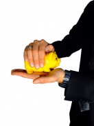 Fotovoltaika a bioplyn: banky podporia len naozaj dobré projekty