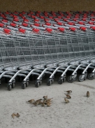 Hypermarkety – expanze do regionů